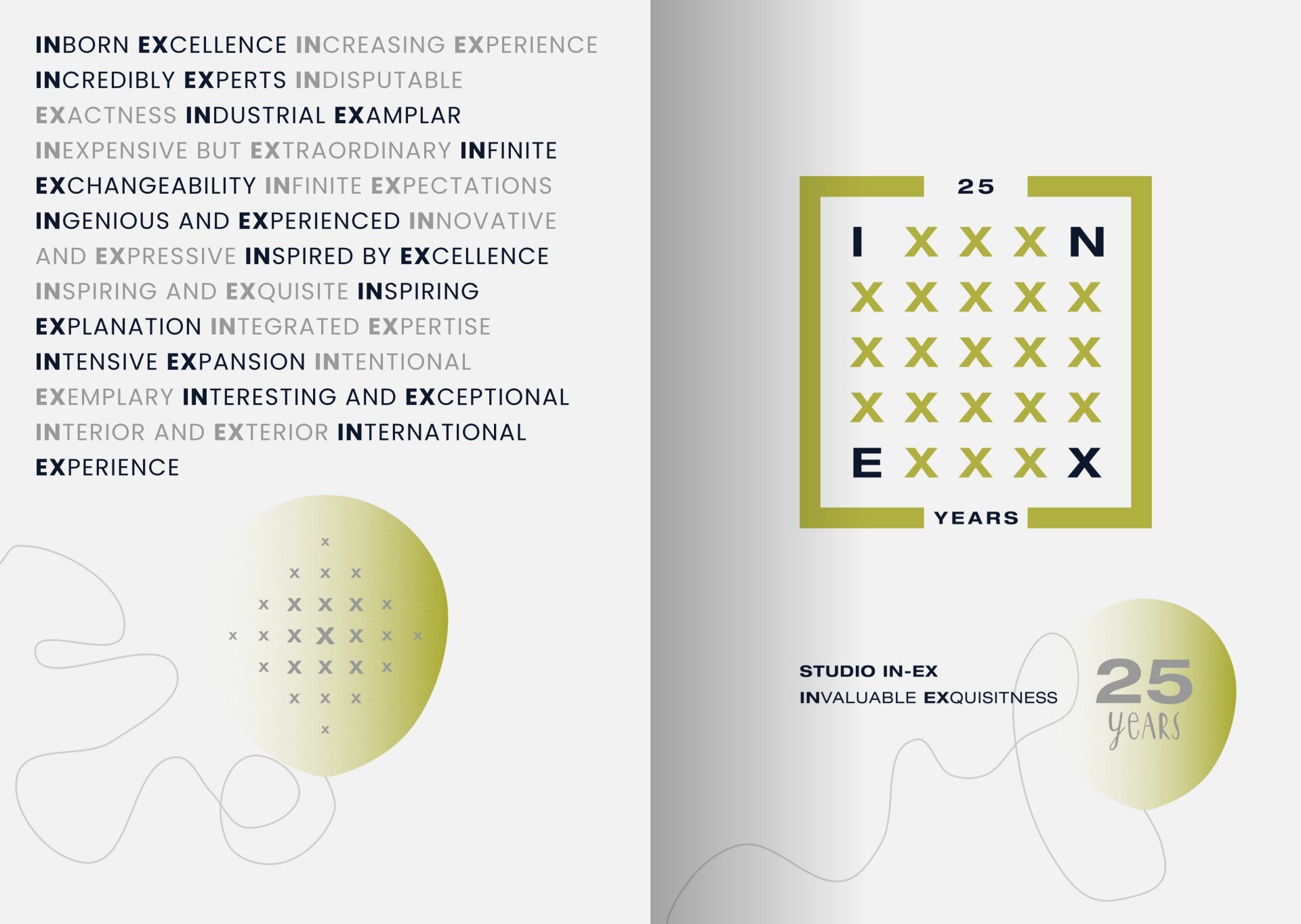 STUDIO IN-EX 25 years branding mockup publication cover 